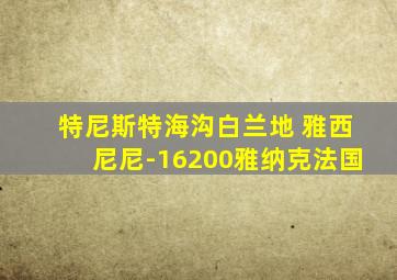 特尼斯特海沟白兰地 雅西尼尼-16200雅纳克法国